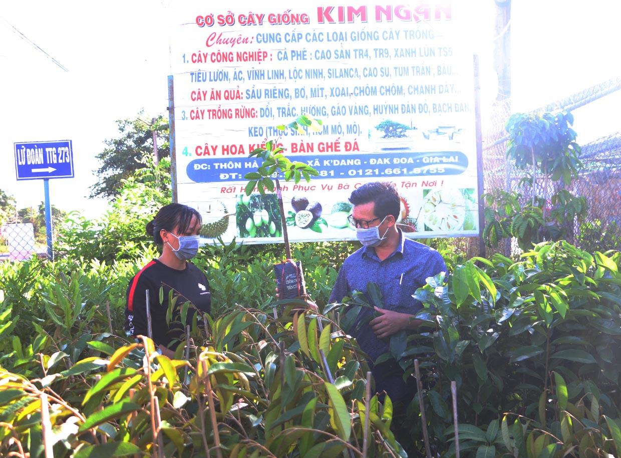 Ngành chức năng huyện Đak Đoa kiểm tra một cơ sở kinh doanh giống cây trồng. Ảnh: Quang Tấn