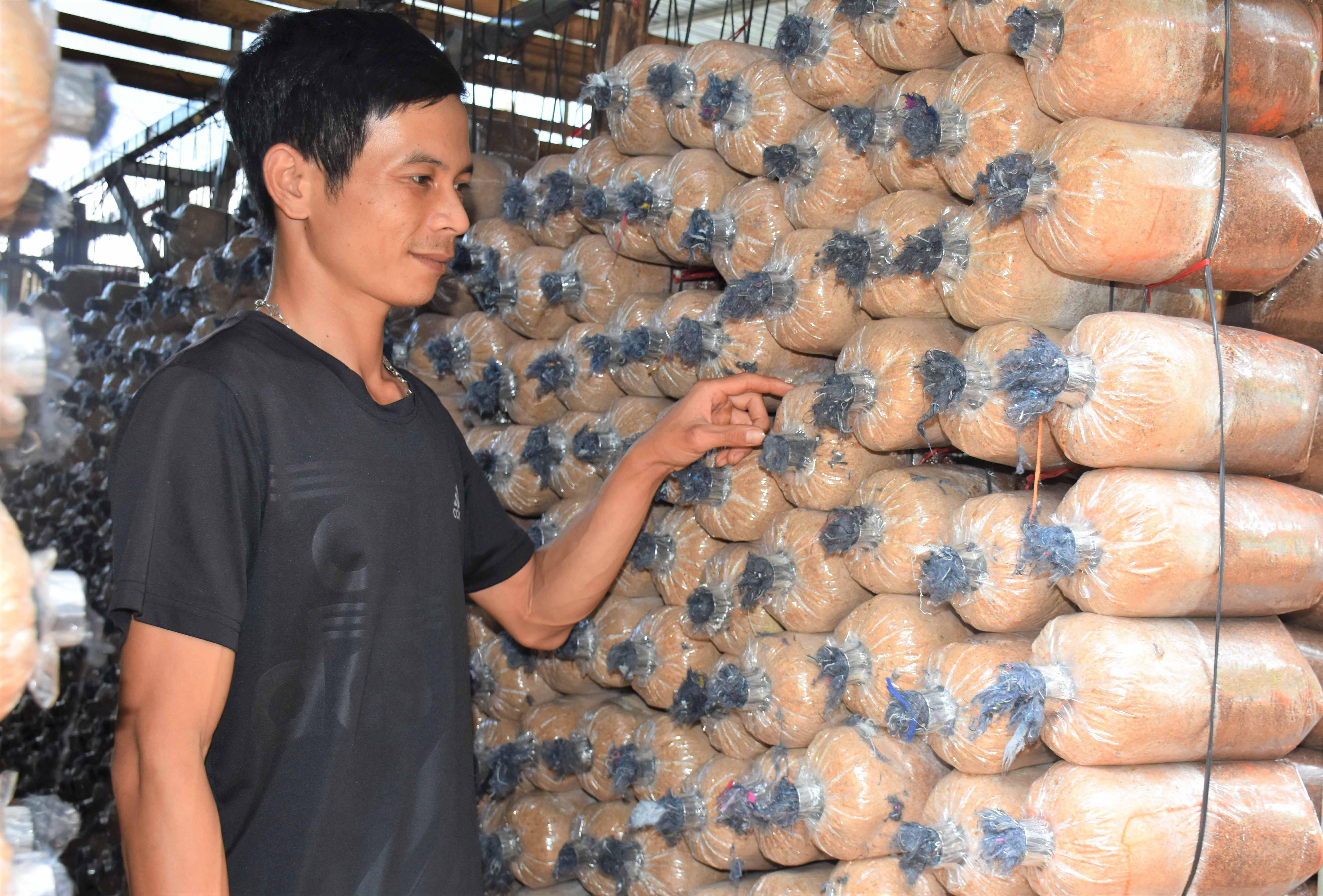 Bên cạnh sản xuất nấm thành phẩm, anh Đặng Đình Tấn còn cung cấp phôi giống nấm bào ngư ra thị trường. Ảnh: Trần Dung