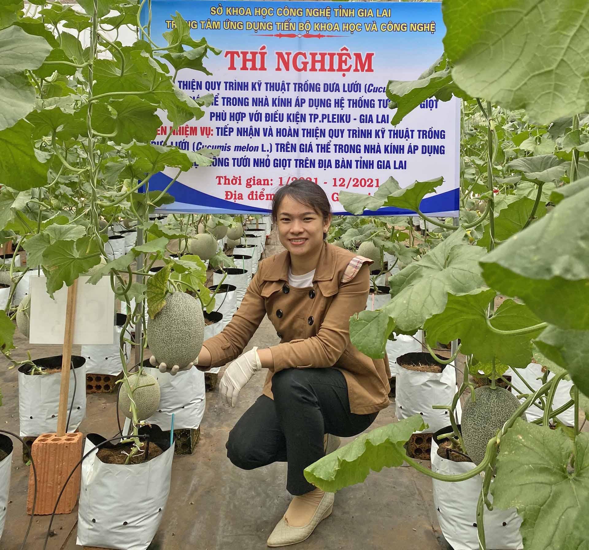 Thạc sĩ Trần Thị Hoàng Nguyên bên vườn dưa lưới thực nghiệm. Ảnh: T.B.Đ