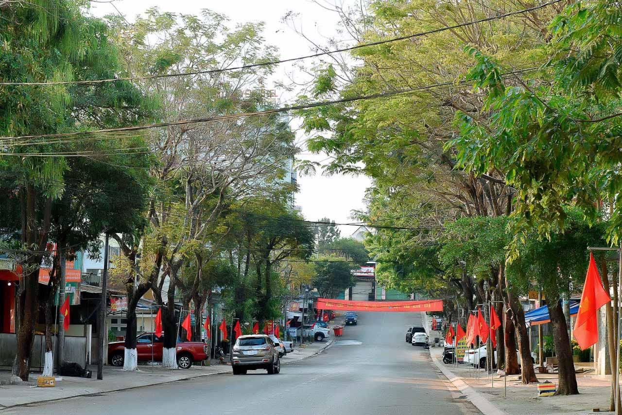 Đường Hoàng Văn Thụ (TP. Pleiku) rợp bóng cây xanh. Ảnh: Đức Thụy