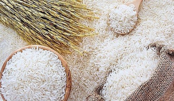 Giá lúa gạo hôm nay 23/7: Giá lúa Đài thơm 8 tăng