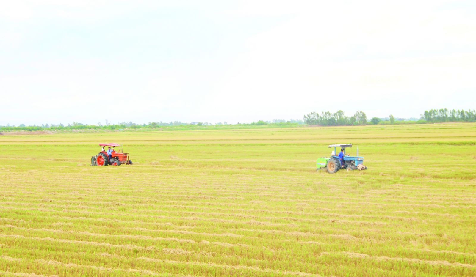 Nông dân nước bạn áp dụng tiến bộ kỹ thuật trong sản xuất để nâng cao năng suất