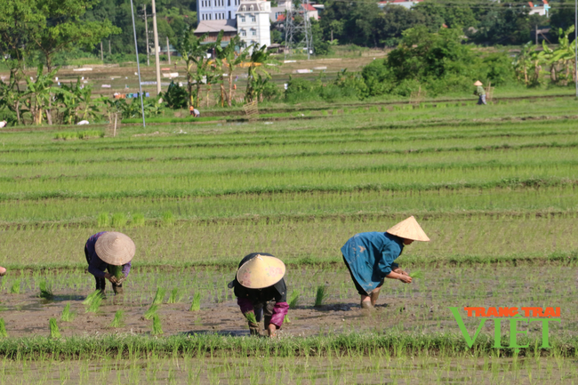 Hội Nông dân Chiềng Châu: Xây dựng công tác hội vững mạnh - Ảnh 5.