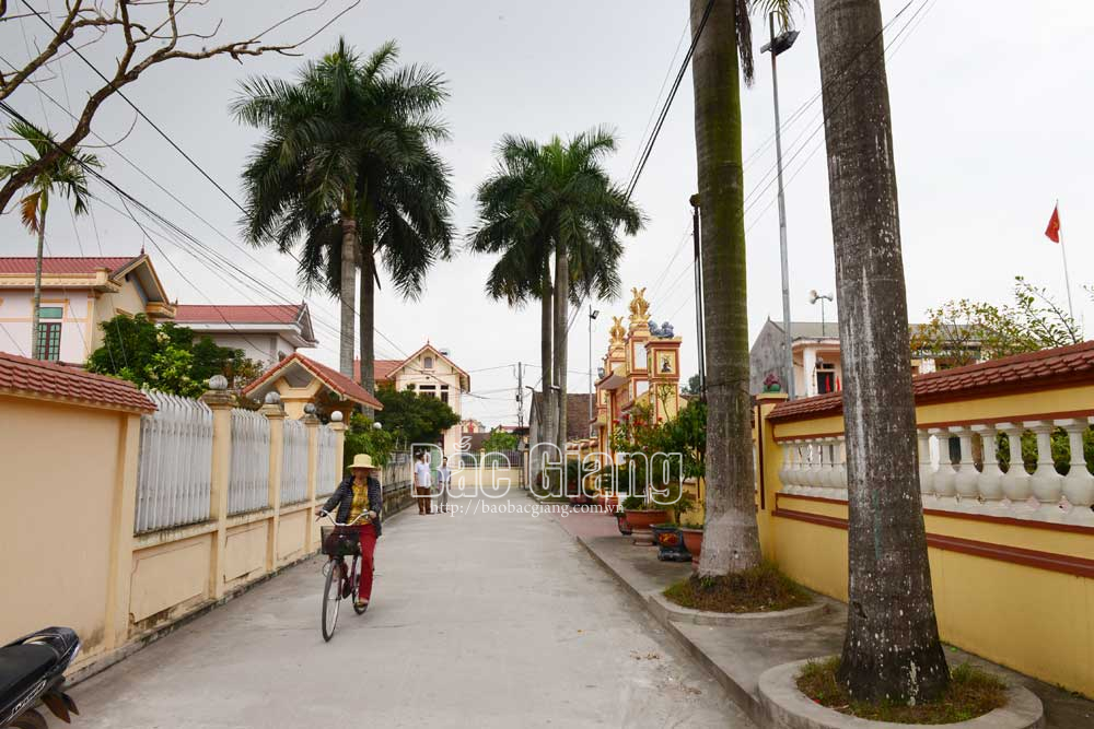 xã Đoan Bái, xã Hồng Giang, nông thôn mới, Lục Ngạn, Hiệp Hòa, Bắc Giang