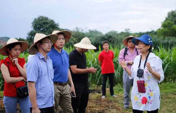 Bà Ngô Kiều Oanh (ngoài cùng bên phải) giới thiệu với du khách về những trải nghiệm tại Trang trại Đồng quê Ba Vì (xã Vân Hòa, huyện Ba Vì), ảnh chụp giữa tháng 4-2021.