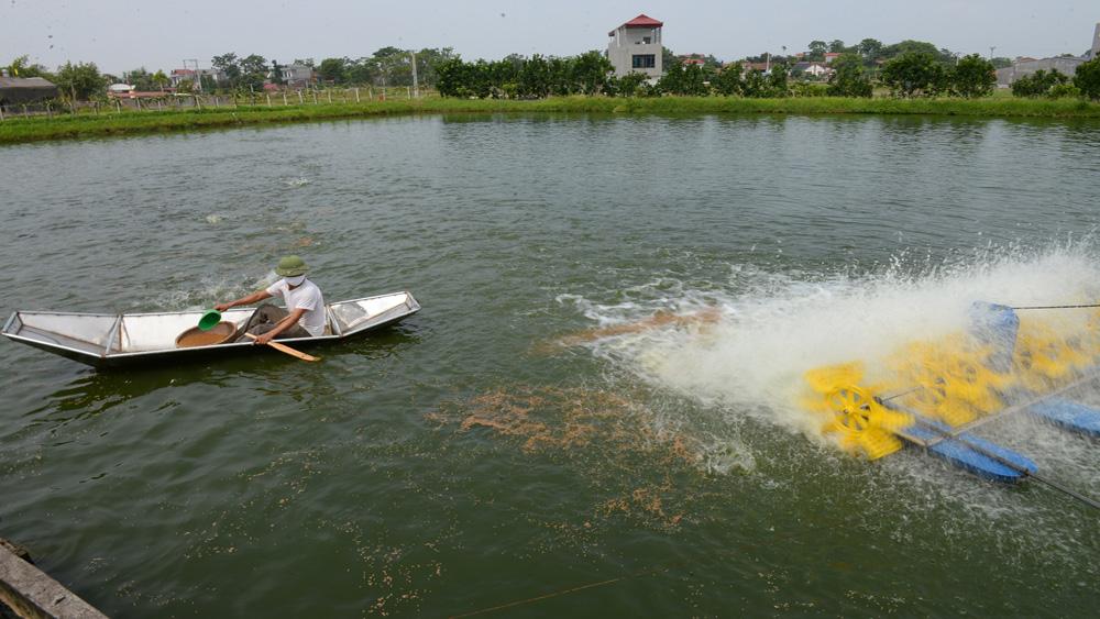 nông nghiệp công nghệ cao, theo phong trào, Bắc Giang, nông nghiệp,