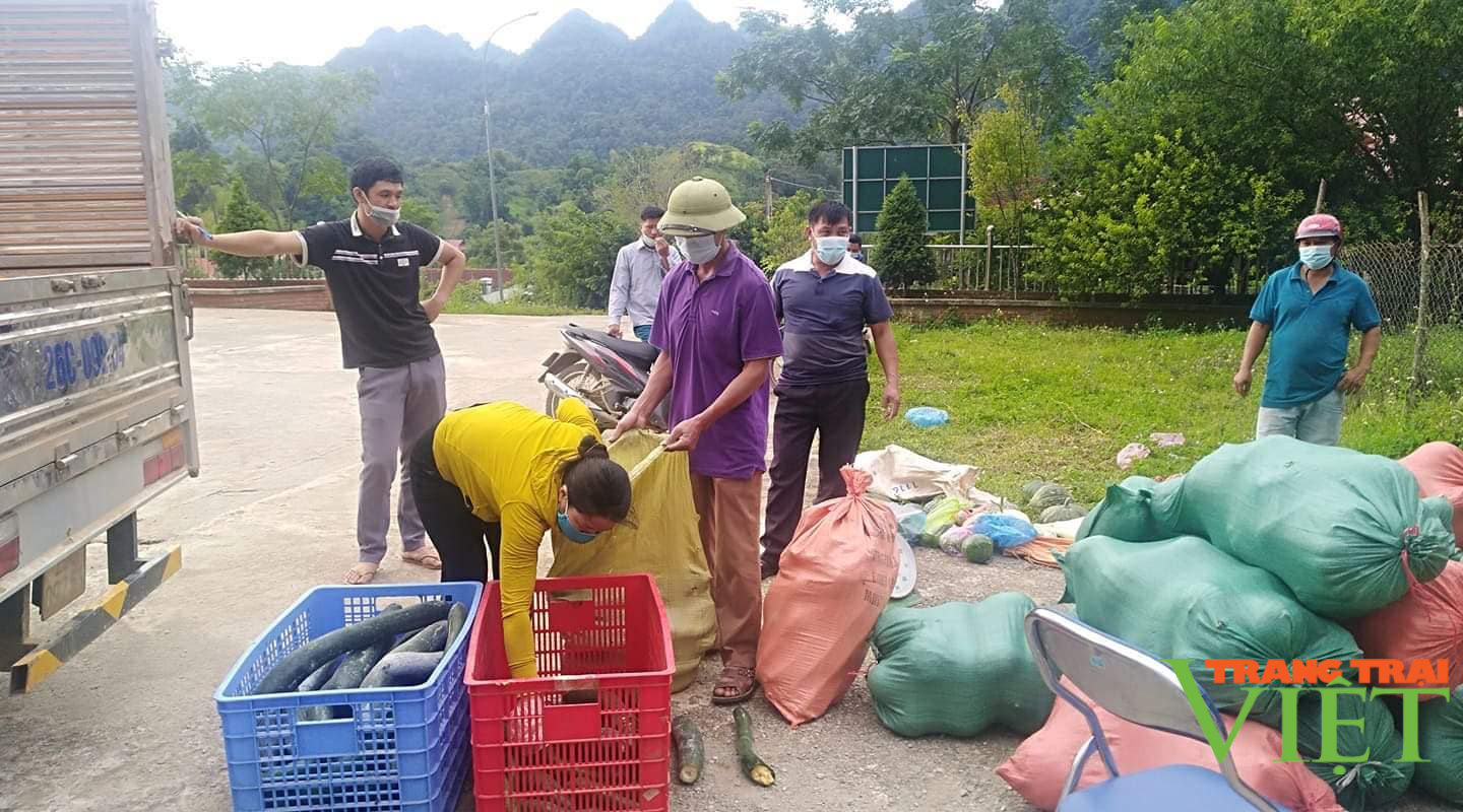 Yên Châu: Hỗ trợ nông sản trị giá gần 300 triệu đồng cho người dân Phù Yên những ngày giãn cách xã hội - Ảnh 2.