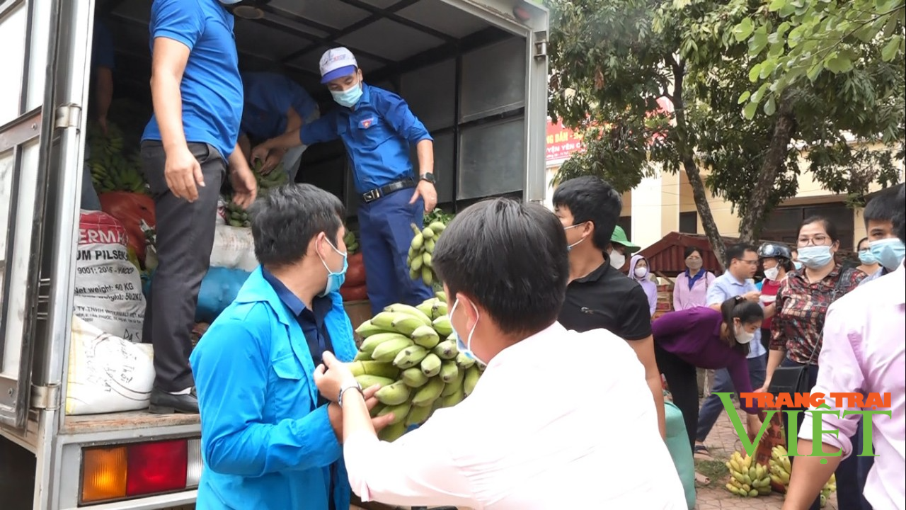 Yên Châu: Hỗ trợ nông sản trị giá gần 300 triệu đồng cho người dân Phù Yên những ngày giãn cách xã hội - Ảnh 1.