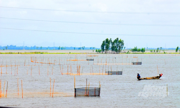 Đầu mùa lũ năm nay 2021 dự báo mực nước sông Mekong bị thấp so với trung bình nhiều năm. Ảnh: Lê Hoàng Vũ.