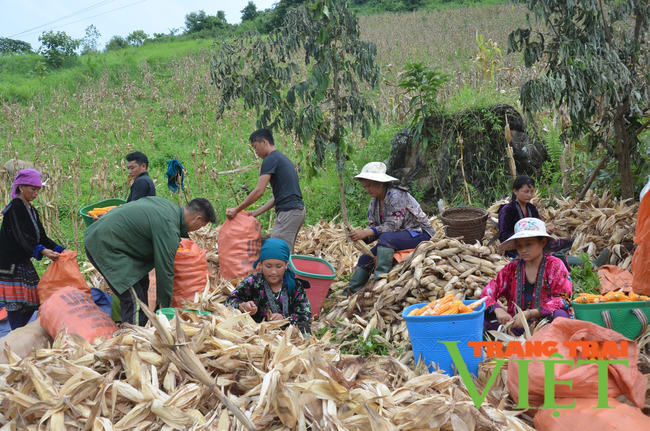 Tủa Chùa: Nỗ lực xây dựng Nông thôn mới   - Ảnh 4.