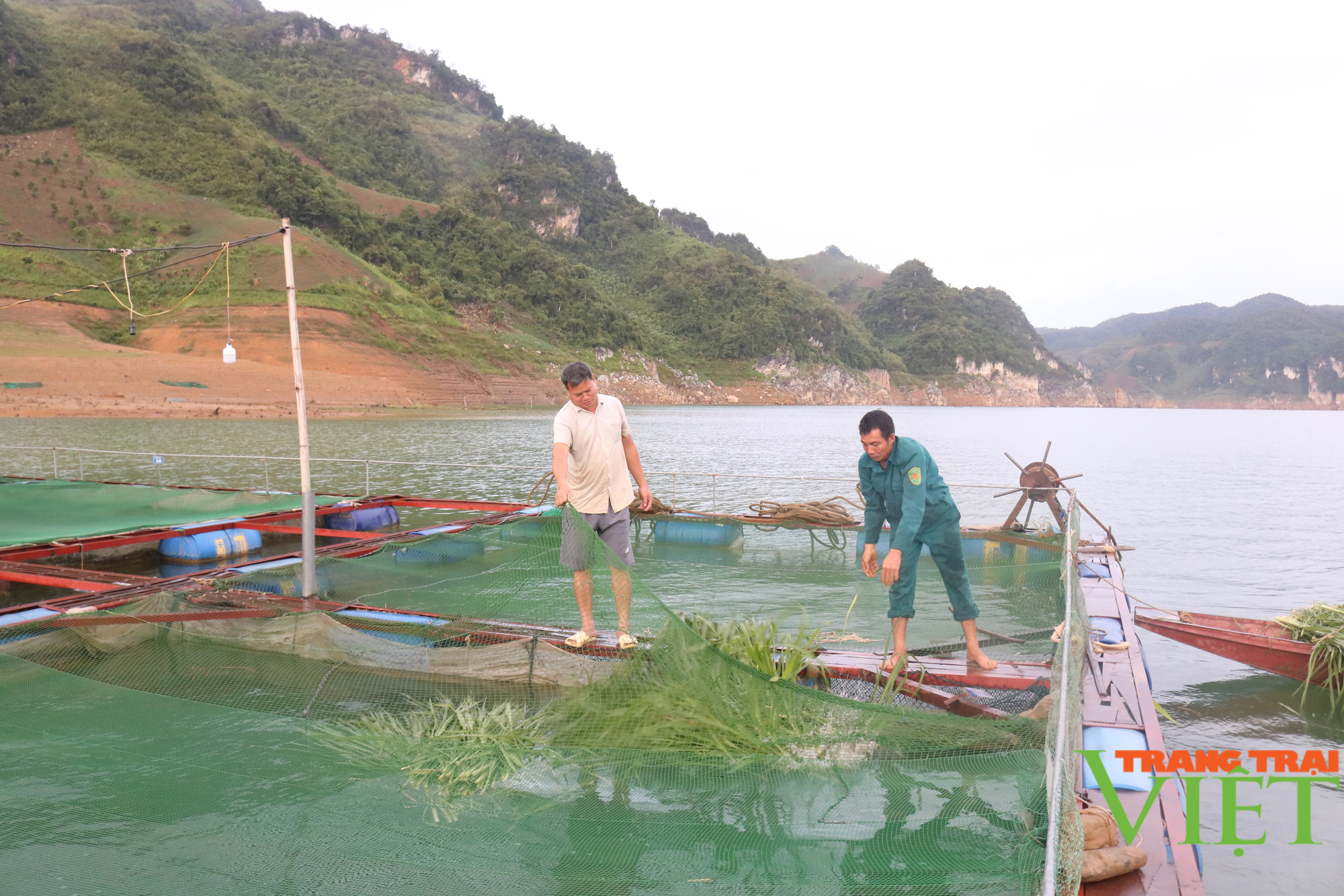 Nông dân Tây Bắc: Hội Nông dân Mường La hỗ trợ hội viên phát triển kinh tế - Ảnh 4.