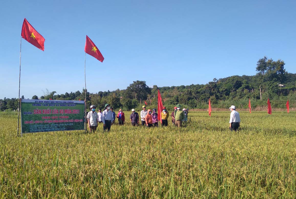 Lãnh đạo Huyện ủy, UBND huyện, các ban ngành của huyện, xã Ia Vê và đông đảo người dân tới tham quan mô hình. Ảnh: Hồng Thương