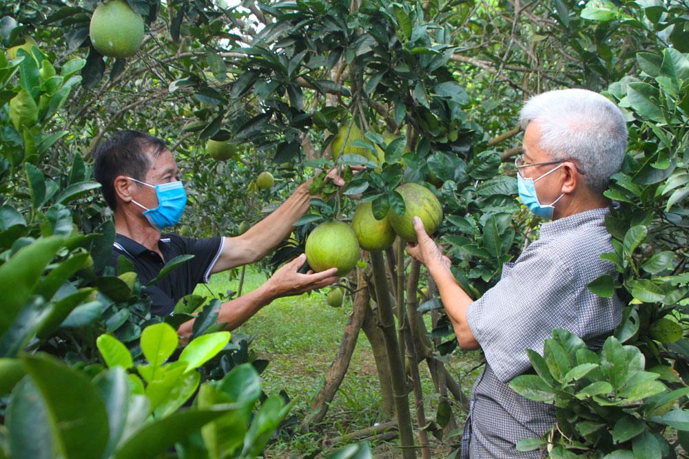 Lạng Giang, Ứng dụng công nghệ cao, xây dựng nông nghiệp, sản phẩm nông nghiệp tiêu biểu, nông nghiệp tiêu biểu bắc giang