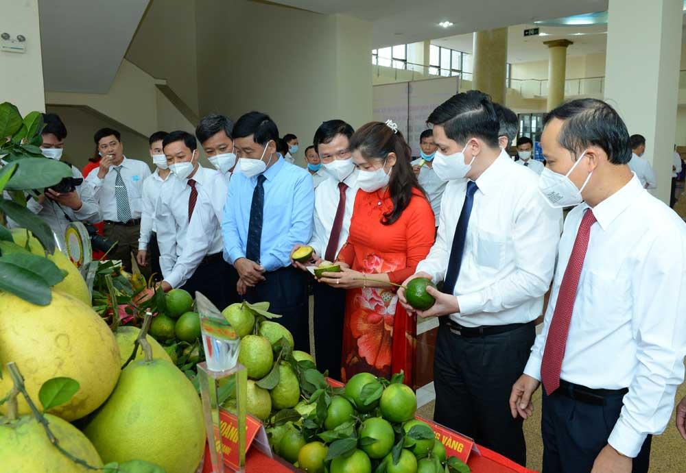 Bắc Giang, sản phẩm nông nghiệp tiêu biểu, tôn vinh, ocop