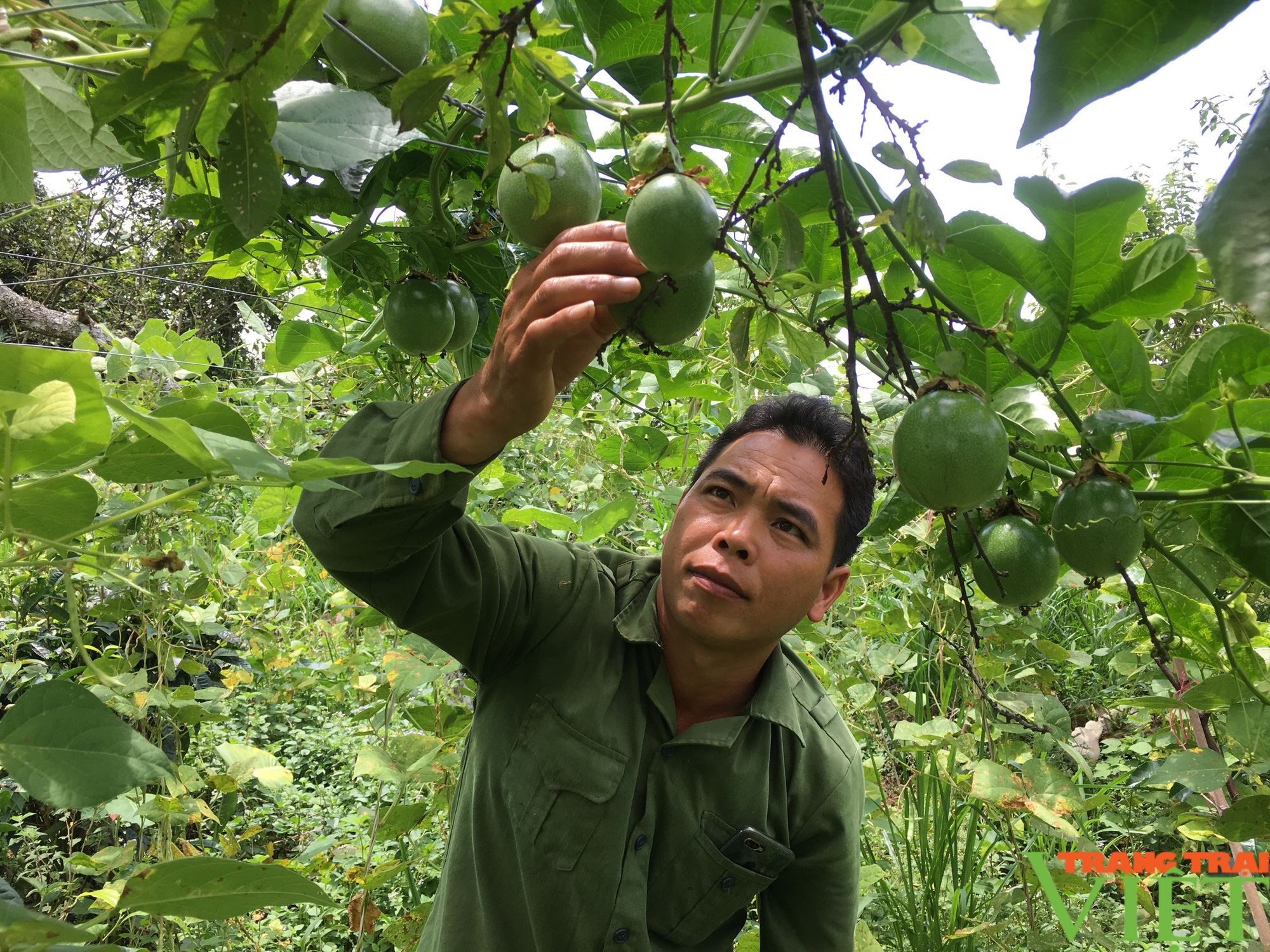 Hội Nông dân Hoà Bình: Chỗ dựa vững chắc cho hội viên nông dân  - Ảnh 9.