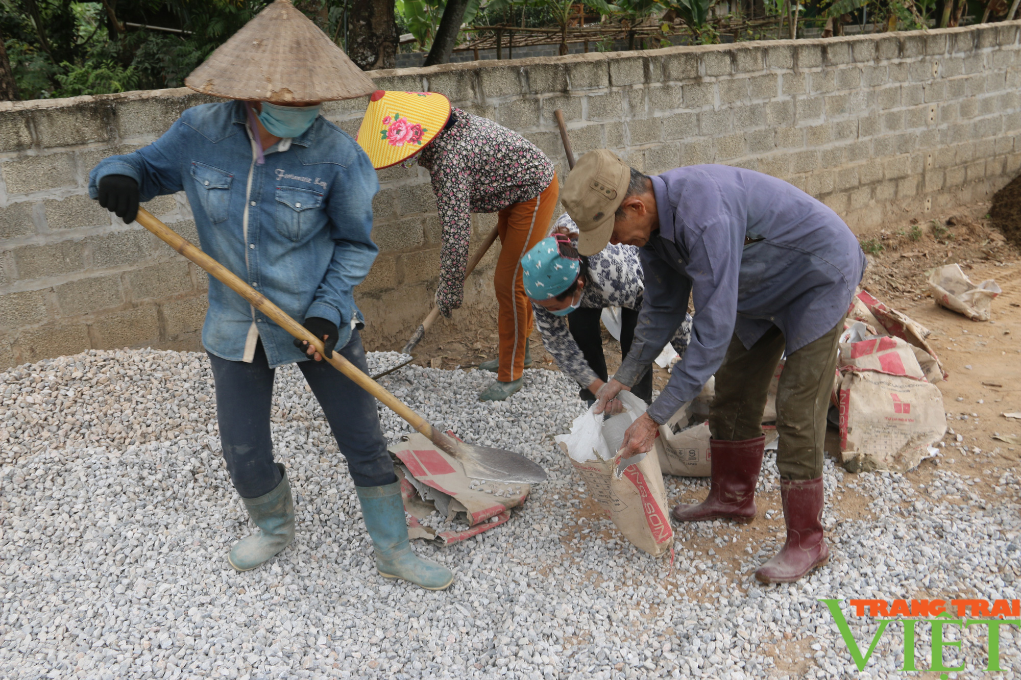 Hội Nông dân Hoà Bình: Chỗ dựa vững chắc cho hội viên nông dân  - Ảnh 2.