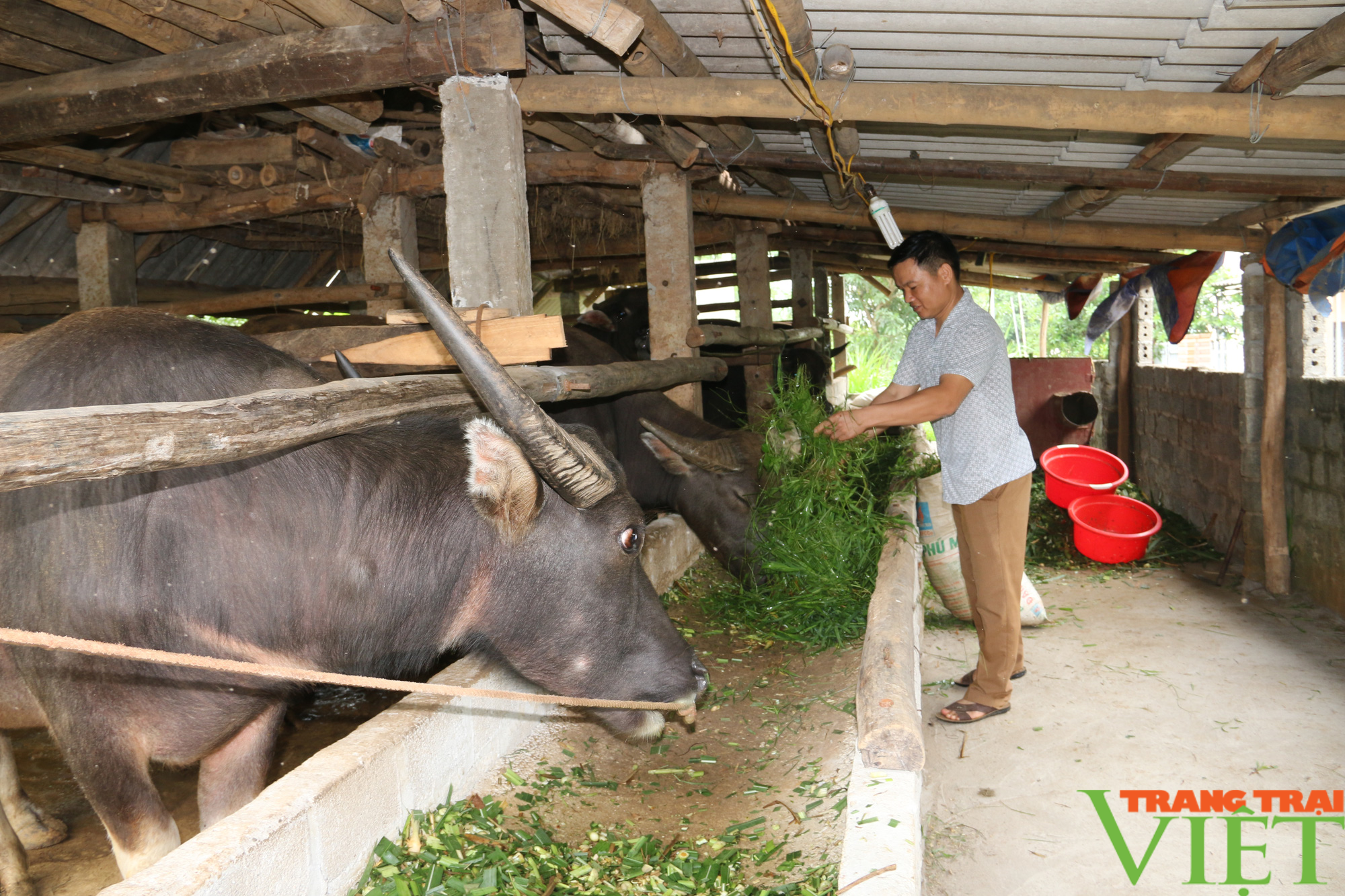 Hội Nông dân Hoà Bình: Chỗ dựa vững chắc cho hội viên nông dân  - Ảnh 8.