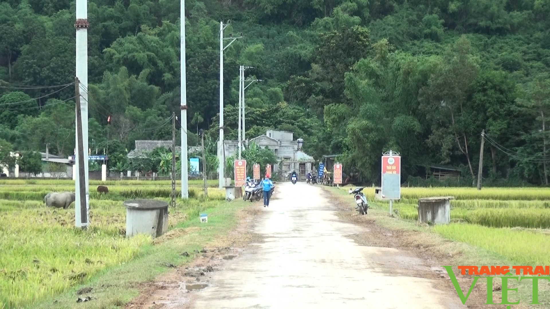 Nông thôn Tây Bắc: Huy Hạ vận động người dân không đốt rơm rạ sau khi thu hoạch lúa mùa - Ảnh 4.