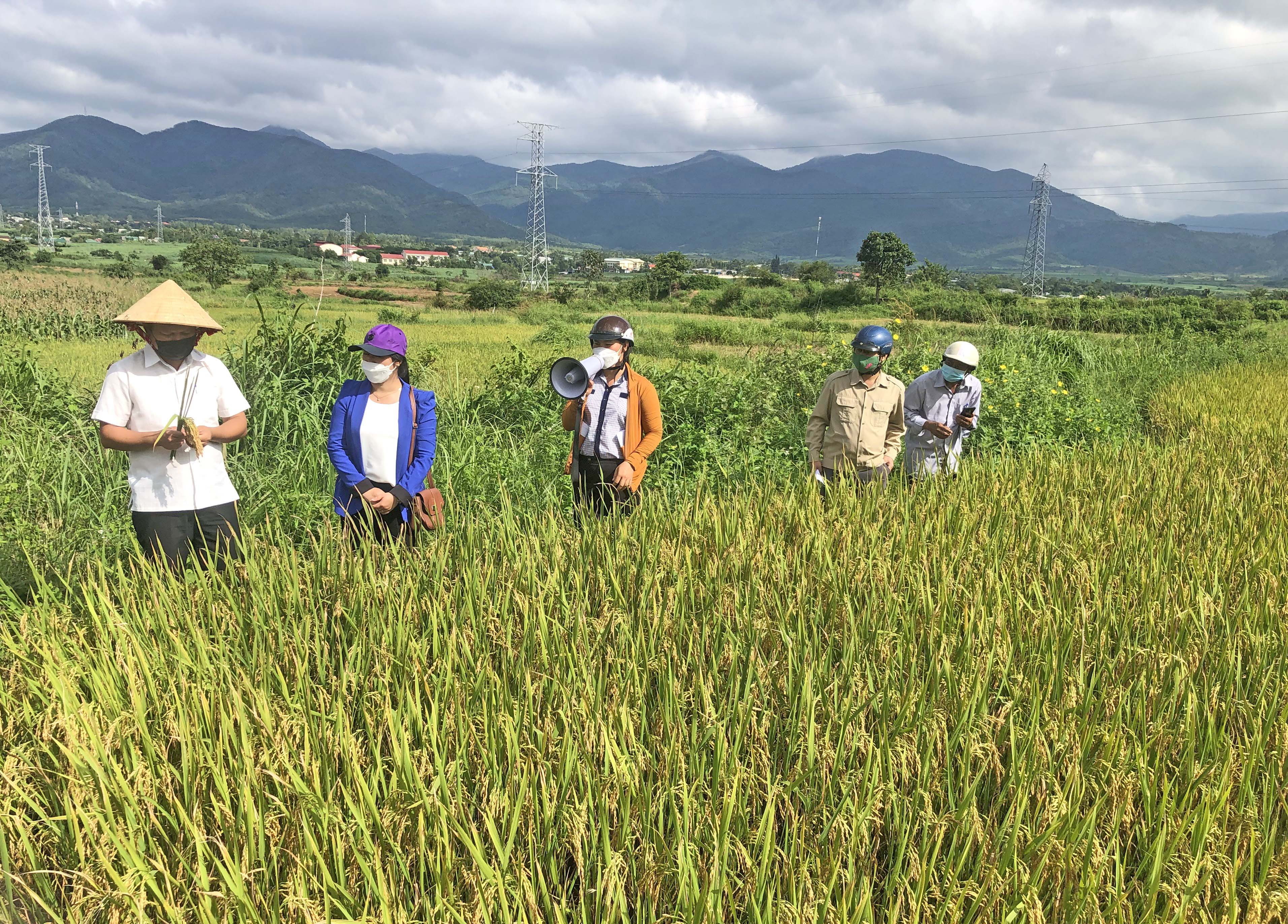 Quang cảnh buổi nghiệm thu. Ảnh: Lan Anh