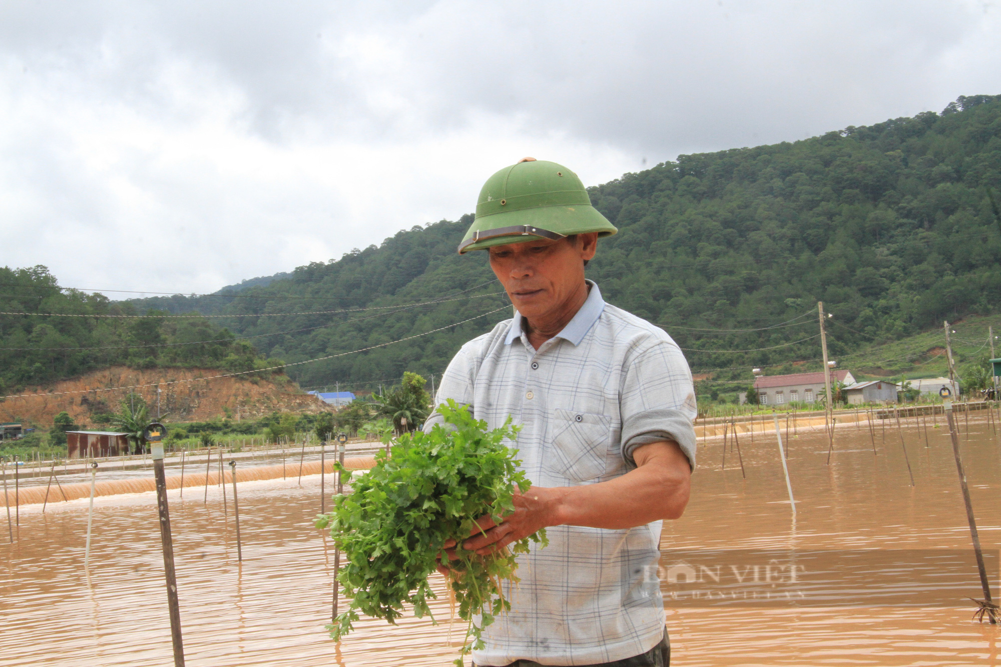 Mưa lớn, lốc xoáy đã khiến người dân tỉnh Lâm Đồng thiệt hại khoảng 53 tỷ đồng. Ảnh: Văn Long