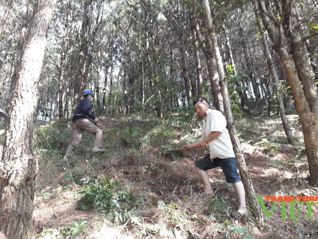 Lai Châu: Làm tốt công tác thu, chi tiền dịch vụ môi trường rừng - Ảnh 3.