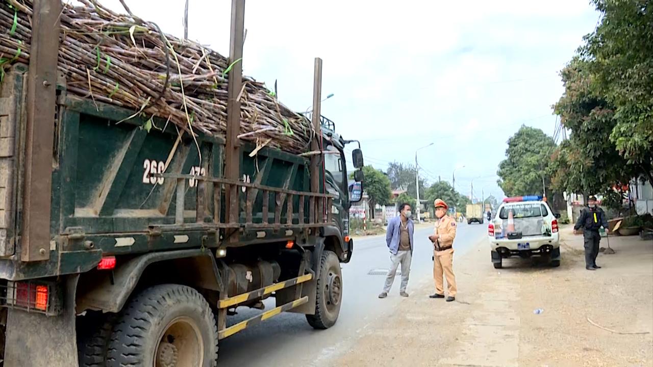 Sơn La: Quyết liệt ngăn chặn xe quá khổ, quá tải trong mùa thu hoạch mía - Ảnh 3.