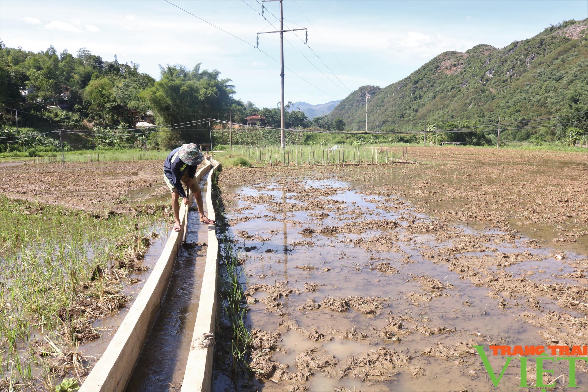 Nông thôn mới Phù Yên khởi sắc - Ảnh 2.