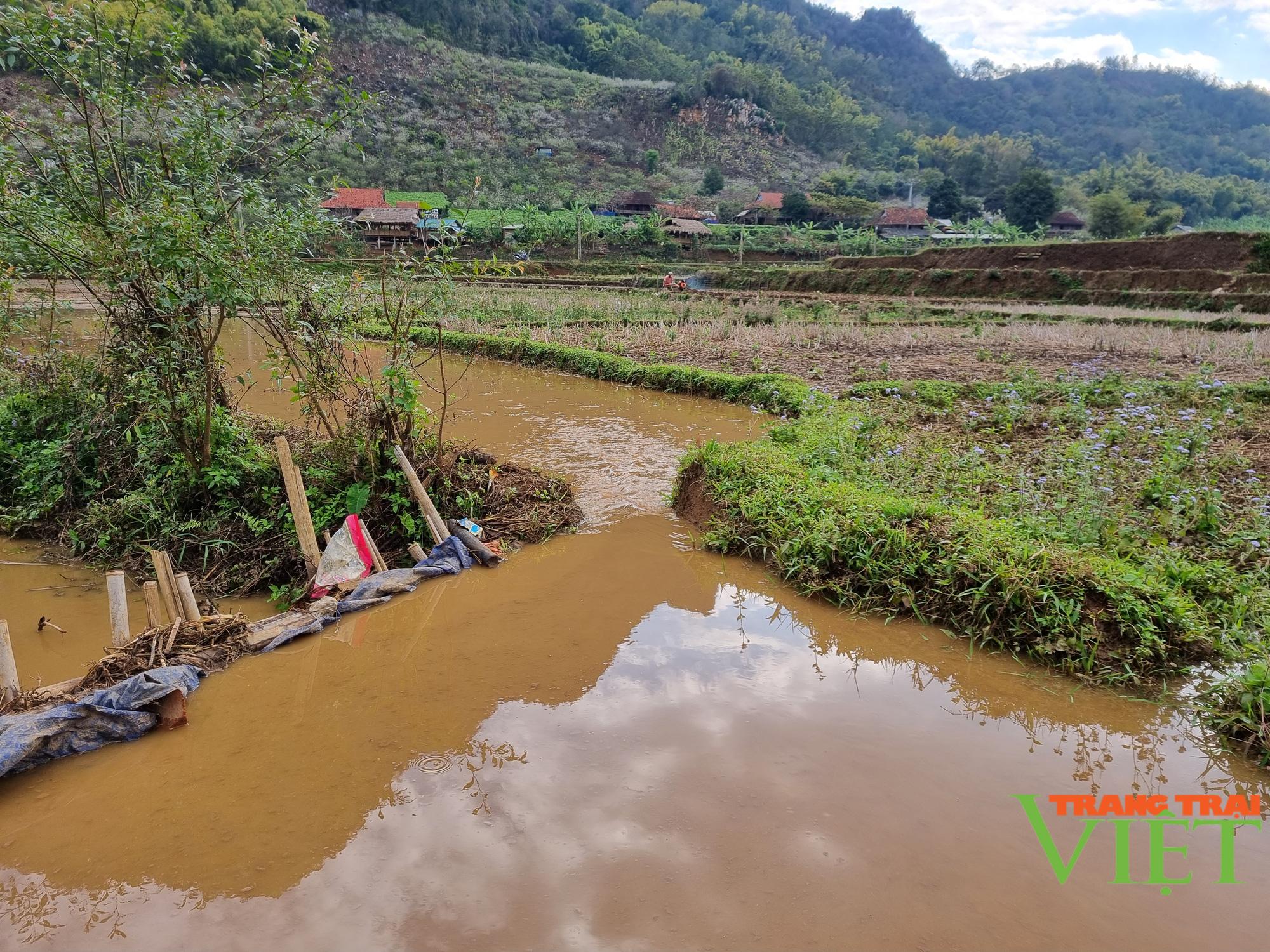 Nông dân Chiềng Cọ ra quân đầu xuân làm thuỷ lợi - Ảnh 5.