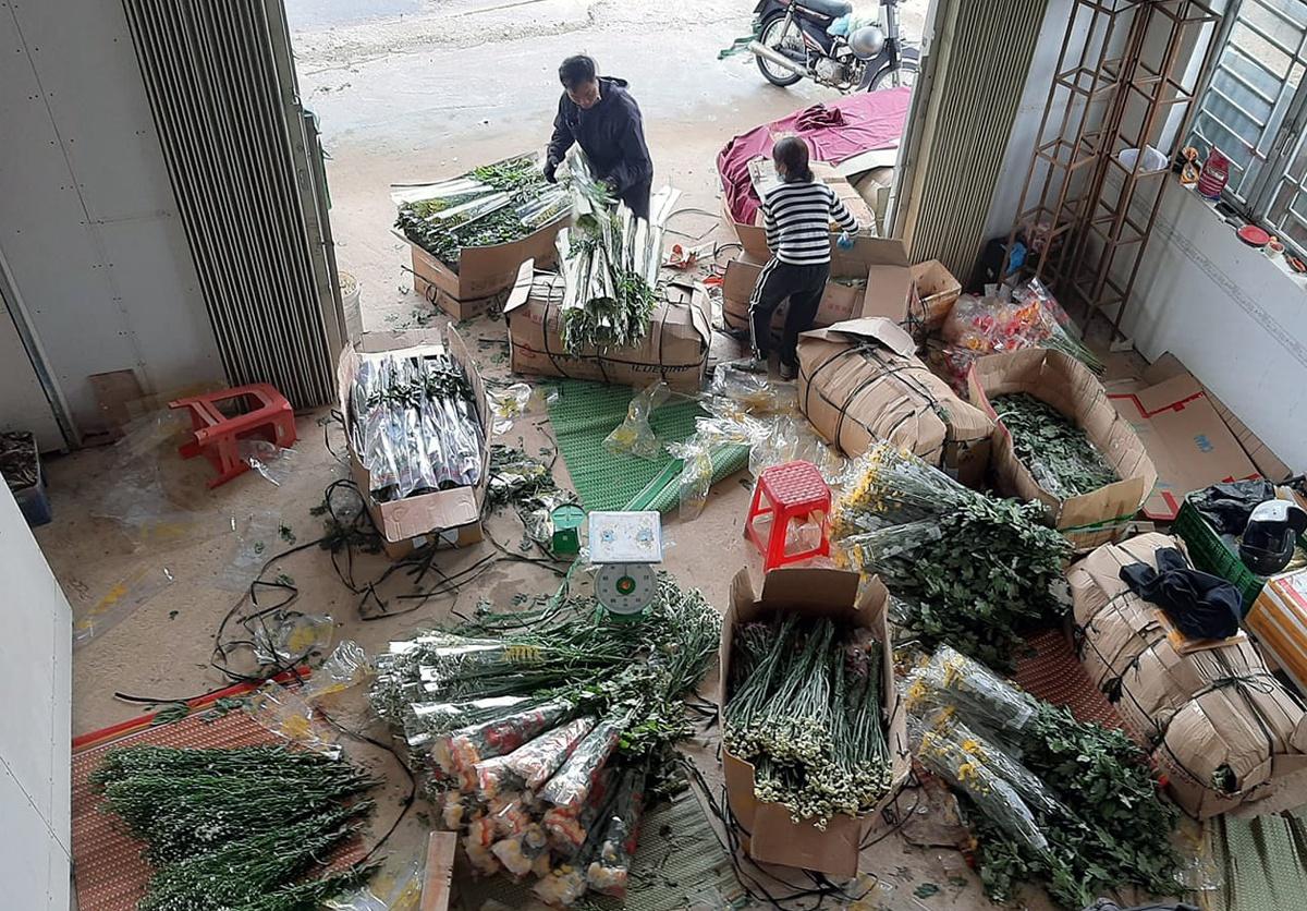 Đà Lạt nhộn nhịp thị trường hoa trước ngày Valentine. Ảnh: Lâm Viên