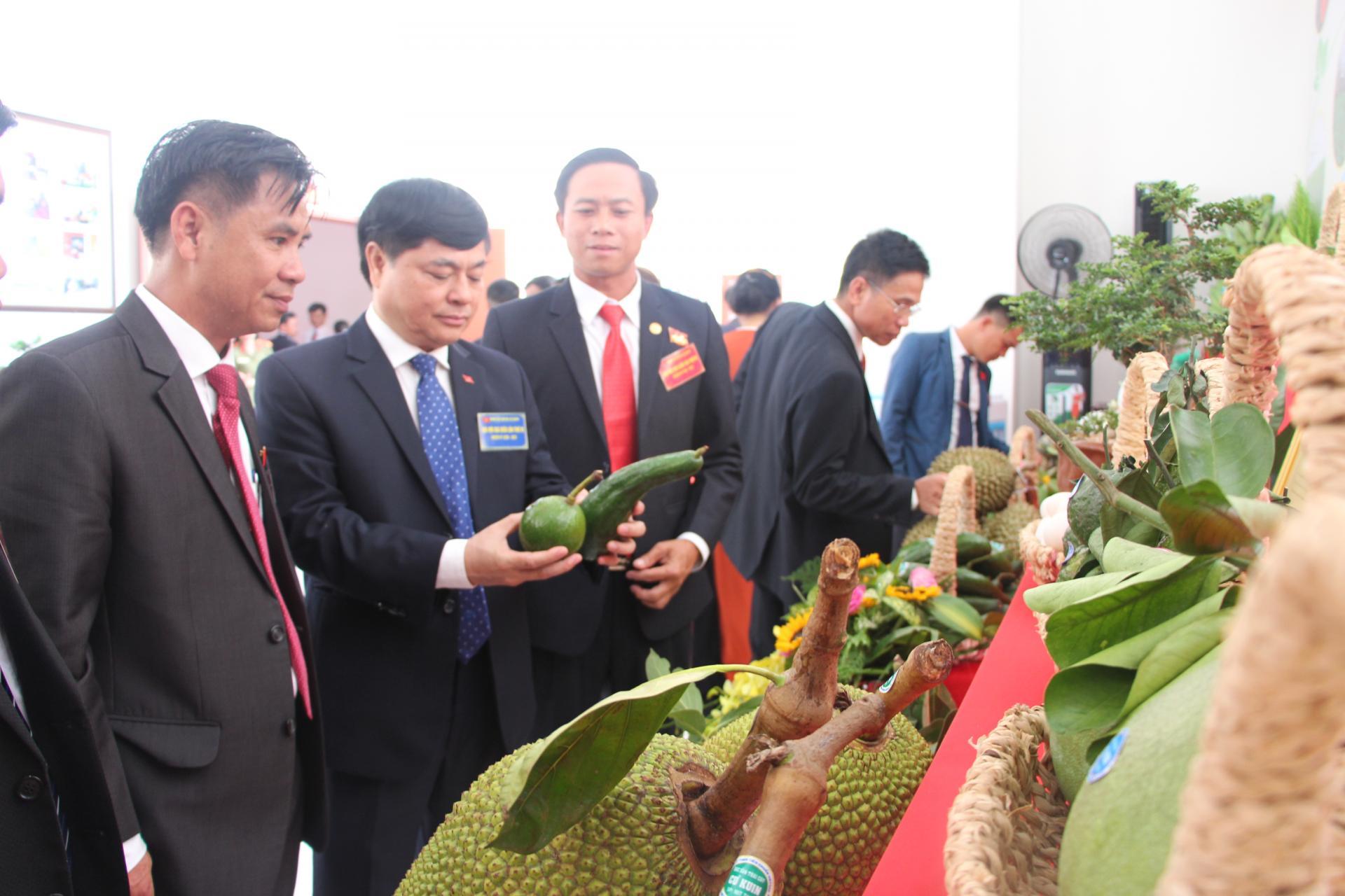 Phó Bí thư Thường trực Tỉnh ủy Phạm Minh Tấn tham quan gian hàng trưng bày sản phẩm nông nghiệp chủ lực của huyện Cư Kuin năm 2020.