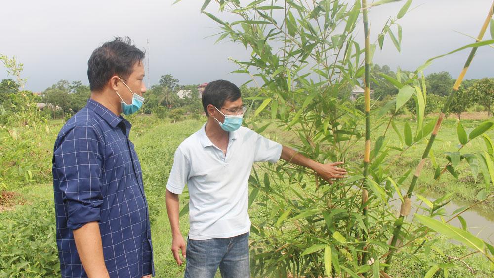 Ngọc Châu, Tân Yên, Bắc Giang,  thương hiệu, Măng Lục trúc