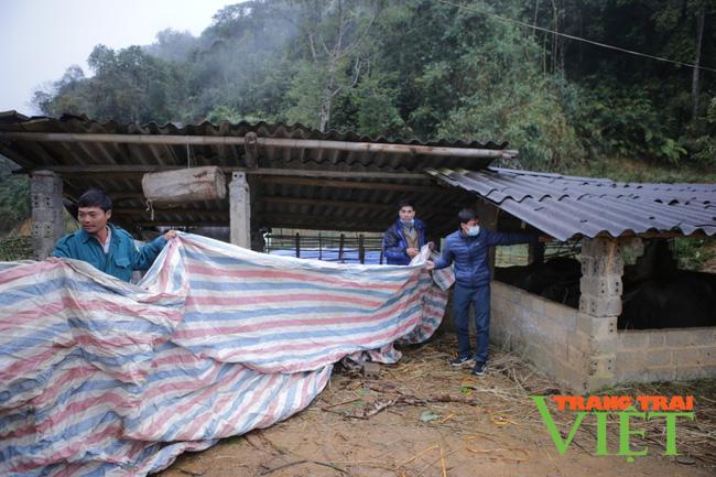 Lai Châu: Nông dân gồng mình chăm sóc "Đầu cơ nghiệp"   - Ảnh 2.