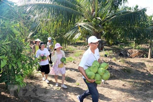 Du khách thích thú khi tự tay hái sản phẩm nông nghiệp tại điểm du lịch nông nghiệp Sáu Trúc, xã Hàm Minh, huyện Hàm Thuận Nam. Ảnh: Nguyễn Thanh/TTXVN