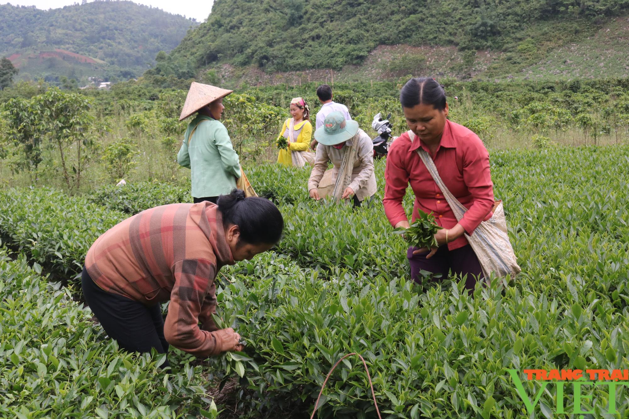 "Đòn bẩy" giúp phụ nữ vươn lên trong phát triển kinh tế - Ảnh 2.