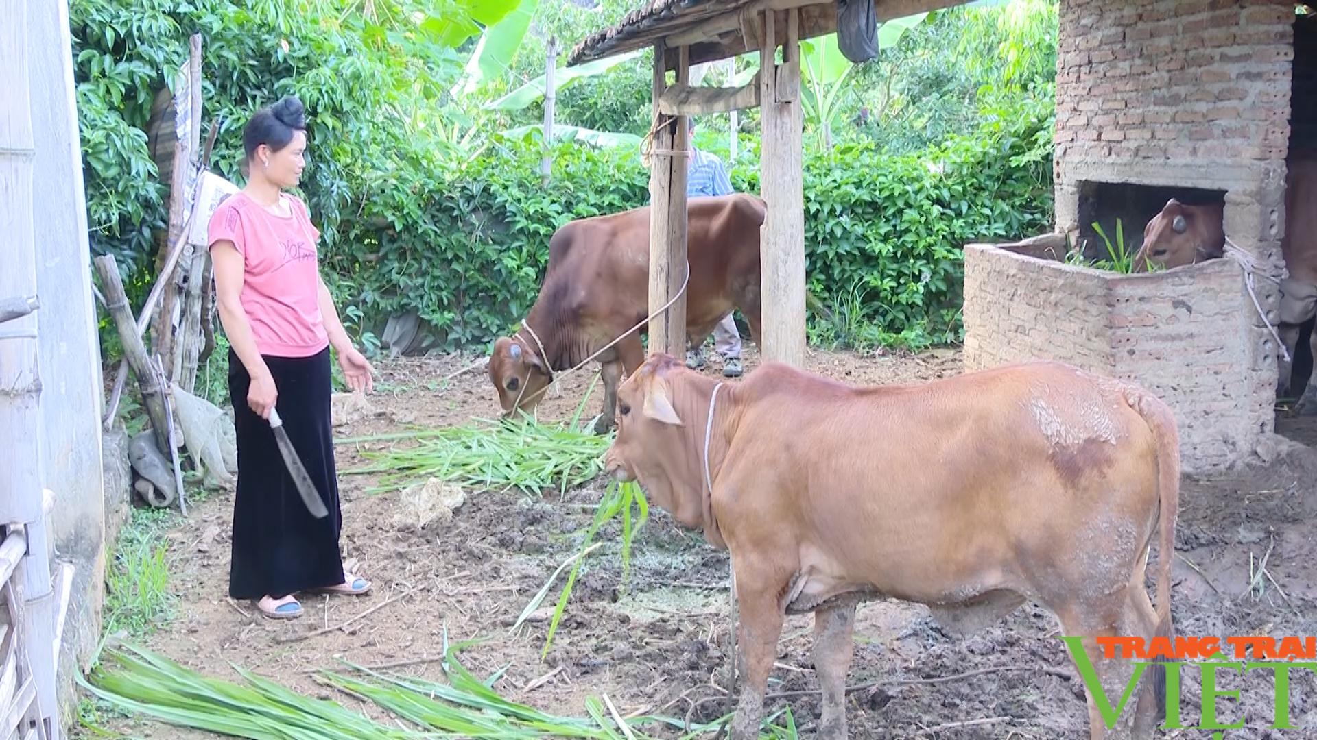 Phụ nữ Mai Sơn phát huy hiệu quả nguồn vốn  tín dụng vay ưu đãi - Ảnh 6.