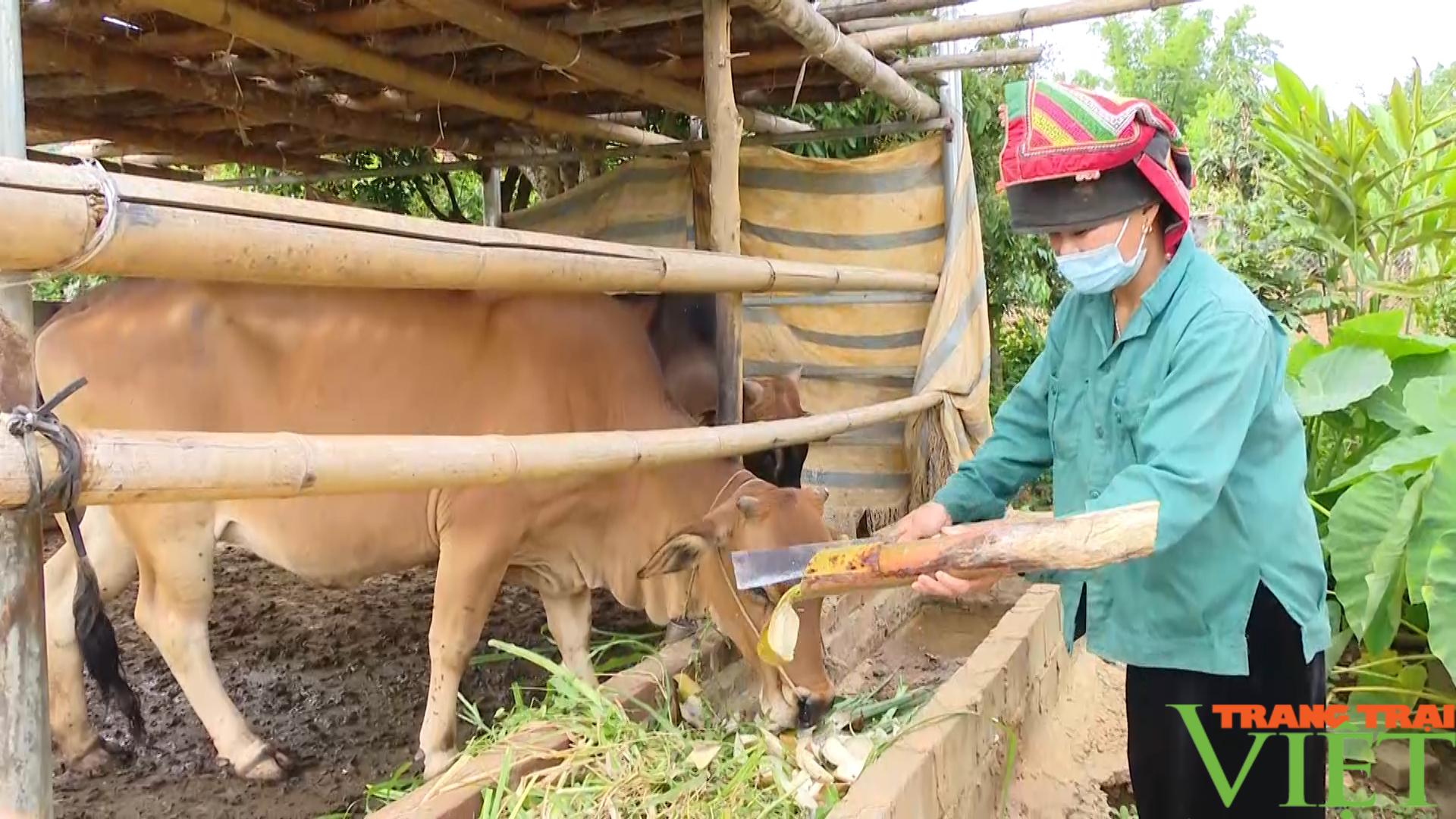 Phụ nữ Mai Sơn phát huy hiệu quả nguồn vốn  tín dụng vay ưu đãi - Ảnh 5.