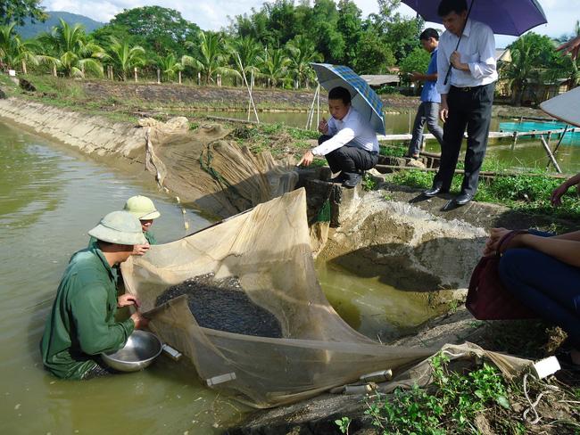 Điện Biên: Hiệu quả kinh tế từ các mô hình nông nghiệp công nghệ cao - Ảnh 3.