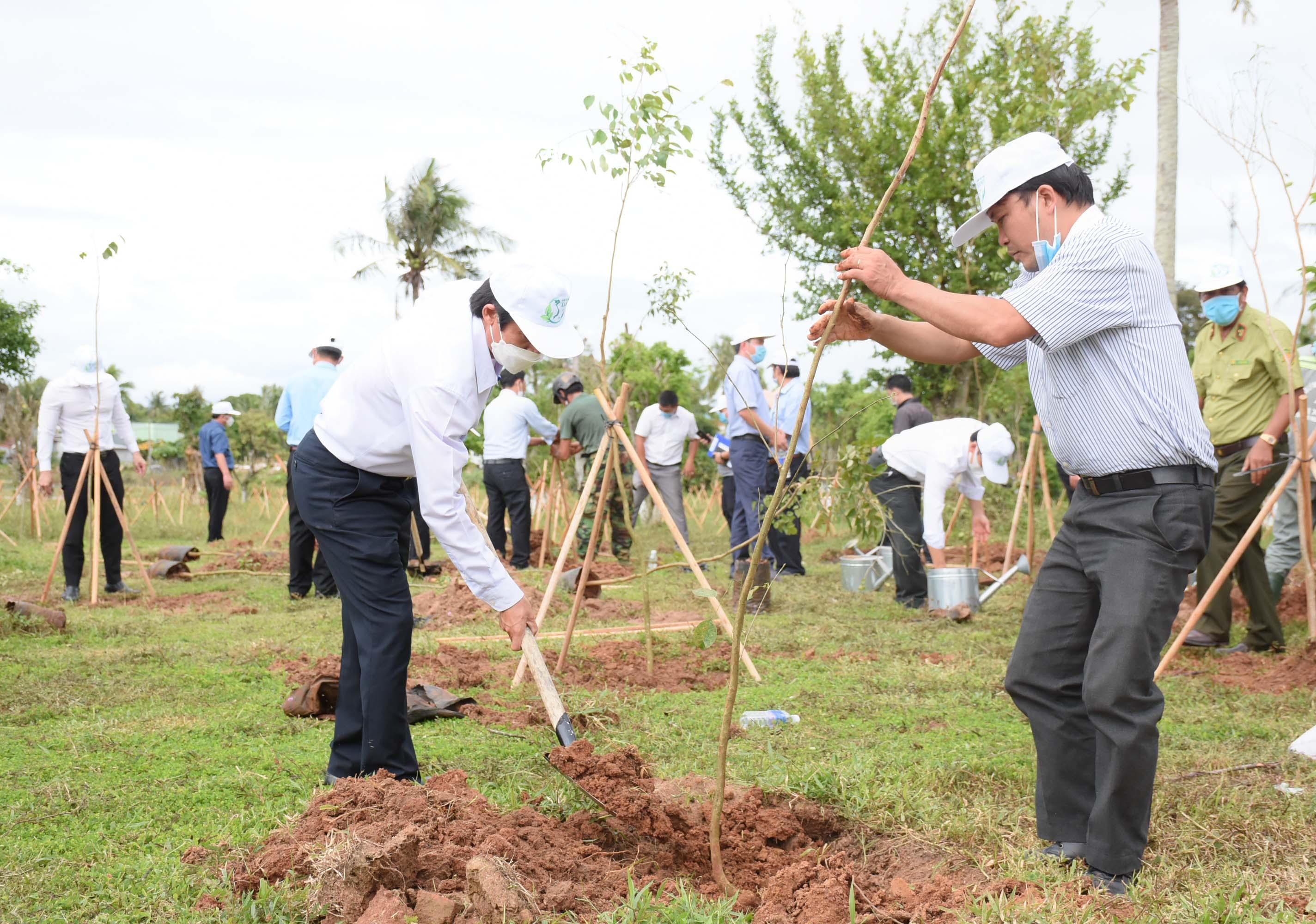 Trồng cây phân tán trên địa bàn thị xã An Khê. Ảnh: Minh Nguyễn