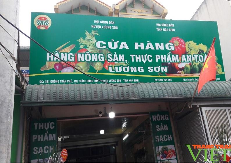 Hội Nông dân Lương Sơn: Khai trương cửa hàng nông sản an toàn tới người tiêu dùng - Ảnh 3.