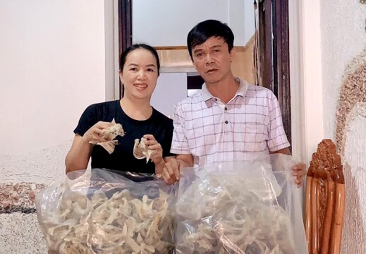 Trung bình mỗi tháng, 2 nhà yến của gia đình ông Phạm Tiến Dũng (848 Hùng Vương, thị trấn Chư Sê) cho thu khoảng 30 kg tổ yến thô. Ảnh: Lê Hòa