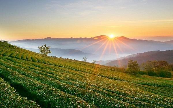 Khu đô thị sinh thái thông minh Trạm Hành - Cầu Đất, TP Đà Lạt có diện tích nghiên cứu lập quy hoạch dự án là khoảng 989 ha.