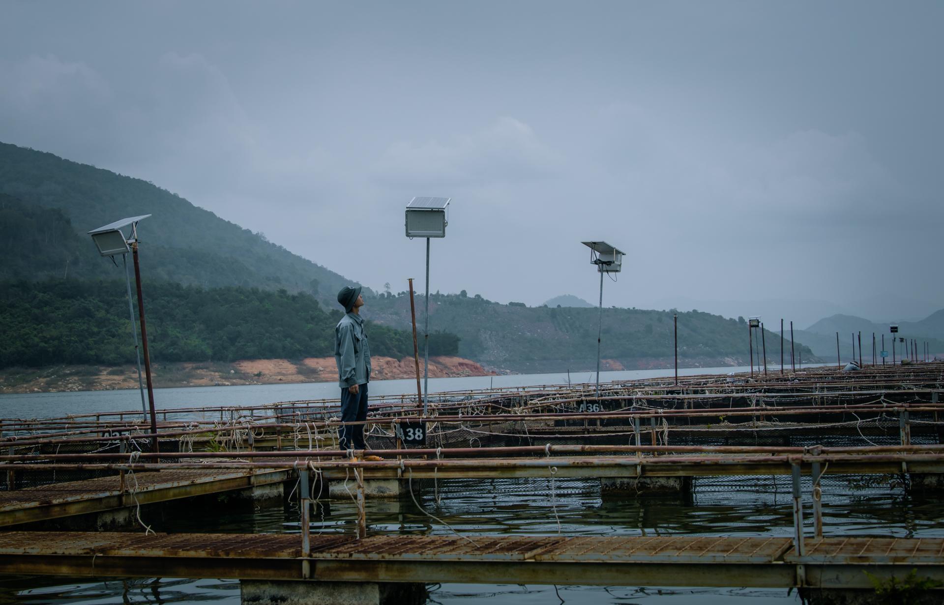 Để bảo đảm quá trình nuôi cá tầm, trên các lồng thường gắn thêm hệ thống đèn chiếu sáng bằng năng lượng mặt trời, giúp người nuôi dễ dàng chăm sóc cá vào ban đêm.