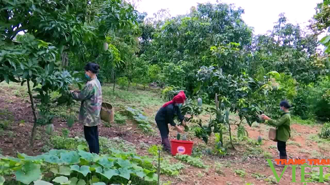 Nông thôn Tây Bắc: Chú trọng sản xuất nông nghiệp sạch, nông nghiệp hữu cơ - Ảnh 2.