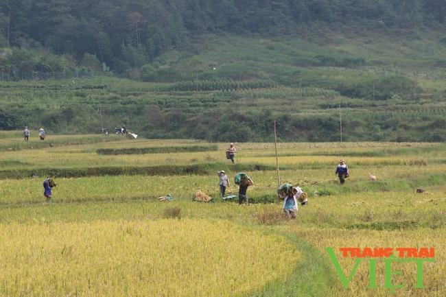 Điện Biên: Xây dựng vùng sản xuất lợi thế cho các sản phẩm OCOP   - Ảnh 3.