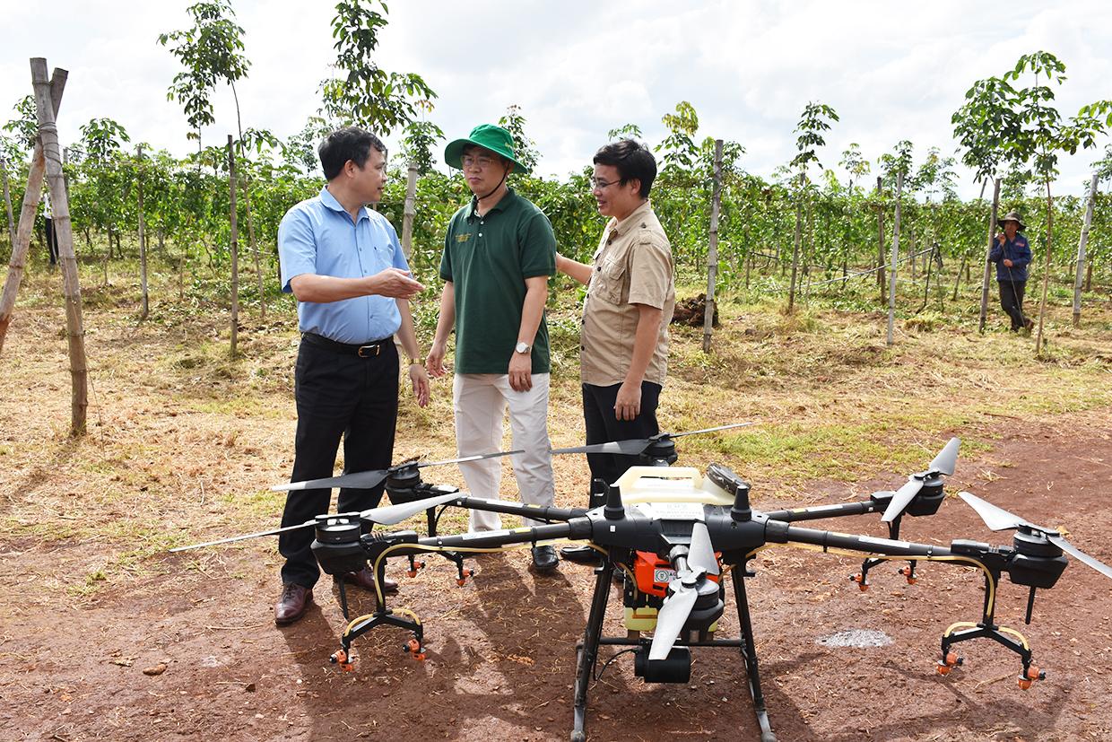 Nhân viên Công ty TNHH một thành viên Xuất nhập khẩu rau quả DOVECO Gia Lai sử dụng máy bay phun thuốc bảo vệ thực vật. Ảnh: Gia Hưng