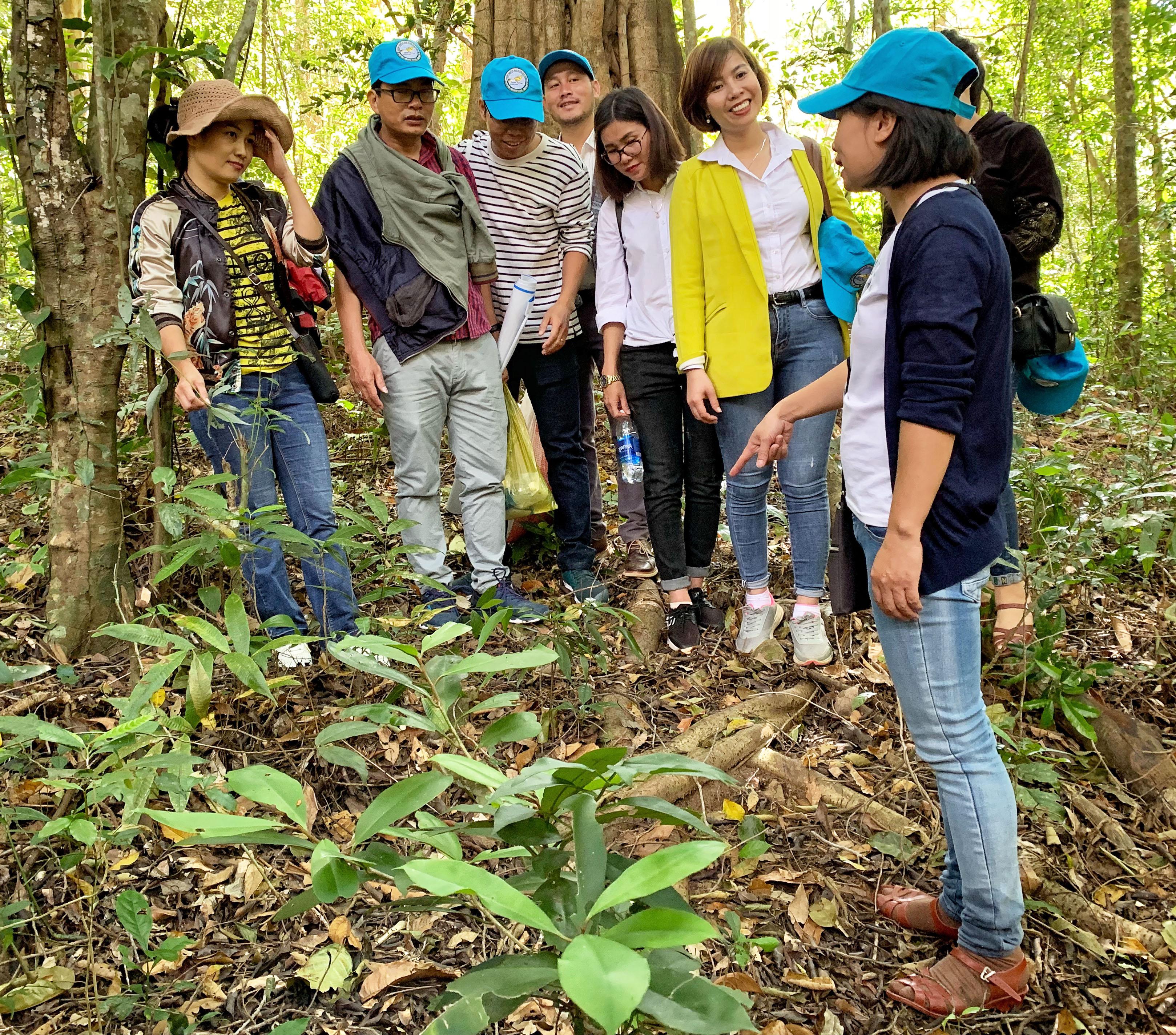 Kon Ka Kinh vẫy gọi du khách  (GLO)- Sau quá trình chạy tour thử nghiệm, Ban Quản lý Vườn Quốc gia Kon Ka Kinh đã xây dựng các tuyến tham quan từ mức độ dễ đến khó để phù hợp với nhiều đối tượng du khách. Bên cạnh đó, các đơn vị lữ hành trong tỉnh cũng khai thác các tour trekking đặc thù, kết hợp trải nghiệm văn hóa bản địa và ẩm thực truyền thống với lịch trình hấp dẫn.  Lựa chọn tuyến tham quan  Các tuyến tham quan mà Ban Quản lý Vườn Quốc gia Kon Ka Kinh xây dựng đều dựa trên khảo sát thực tế để phù hợp với sức khỏe, sở thích và thời gian lưu trú của du khách. Trong đó, tuyến 1 ngày khám phá làng văn hóa truyền thống Đê Kjiêng (huyện Mang Yang), quần thể cây đa cổ thụ, thăm Trung tâm Cứu hộ, Bảo tồn và Phát triển sinh vật. Với thời gian 2 ngày 1 đêm, có 3 tuyến khác nhau để du khách lựa chọn khám phá: chiêm ngưỡng quần thể cây đa cổ thụ, thăm trạm nghiên cứu động vật và chinh phục cây thông 5 lá-một loại thực vật đặc hữu của Việt Nam (tuyến 1); thăm Trung tâm Cứu hộ, Bảo tồn và Phát triển sinh vật, sau đó xuyên rừng nguyên sinh vào xã Hà Đông (huyện Đak Đoa) tham quan các làng Bahnar còn nguyên sơ nằm giữa những dãy núi trùng điệp (tuyến 2); chinh phục đỉnh Đá Trắng và quan sát voọc chà vá chân xám, trạm nghiên cứu động vật, quần thể cây đa cổ thụ (tuyến 3). Ngoài ra, tuyến 3 ngày 2 đêm “Chinh phục thác 95” và tuyến 4 ngày 3 đêm “Chinh phục đỉnh Kon Ka Kinh” là những tuyến trekking với độ thử thách cao, có chút phiêu lưu, mạo hiểm.  Du khách có thể tìm kiếm tour trải nghiệm phù hợp với nhu cầu cá nhân ở Vườn Quốc gia Kon Ka Kinh với các loại hình như: tham quan những điều kỳ thú chỉ có ở rừng nguyên sinh, du lịch sinh thái kết hợp nghe diễn giải môi trường tự nhiên. Hấp dẫn nhất là các loại hình thể thao leo núi, đạp xe qua những đường mòn dưới tán rừng, đi bộ xuyên rừng kết hợp tìm hiểu văn hóa bản địa. Đội ngũ hướng dẫn viên của Vườn Quốc gia Kon Ka Kinh cũng là những nhà “sinh vật học” có thể giải đáp các thắc mắc hoặc kể cho du khách nhiều câu chuyện hấp dẫn về đời sống bí ẩn của cây, của động vật đặc hữu dưới tán rừng già.    Điểm đến hấp dẫn  Tôi may mắn khi có cơ hội được trải nghiệm từ tuyến dễ nhất đến khó khăn, thử thách nhất trong các tuyến tham quan Vườn Quốc gia Kon Ka Kinh. Mỗi chuyến đi là một hành trình chạm vào thiên nhiên, tận hưởng vẻ đẹp đa dạng, bầu không khí trong lành của Khu dự trữ sinh quyển thế giới. Hành trình khám phá Vườn Quốc gia Kon Ka Kinh là trở về với người mẹ thiên nhiên, với cội nguồn sự sống, cùng những câu chuyện kỳ bí, hấp dẫn về thế giới tự nhiên. Trong đó, điểm tham quan Trung tâm Cứu hộ, Bảo tồn và Phát triển sinh vật nằm giữa đồng cỏ tự nhiên rộng 10 ha. Địa điểm này được quy hoạch thành nơi cứu hộ và chăm sóc các loài động vật được thu giữ từ hoạt động buôn bán, bẫy bắt, trước khi thả chúng trở lại môi trường tự nhiên. Đây cũng là nơi nuôi thả và phát triển một số loài động vật bán hoang dã như hươu sao, nhím, heo rừng…  Các điểm tham quan thú vị nhất tại rừng nguyên sinh là quần thể cây đa cổ thụ với bộ rễ khổng lồ lộ thiên. Đây cũng được xem là những “cây thần” gắn với tín ngưỡng “vạn vật hữu linh” của đồng bào Bahnar. Nếu quần thể cây đa gắn với truyền thuyết về những vị thần thì thông 5 lá là loài thực vật quý hiếm, chỉ có ở Việt Nam. Ở độ cao trên 1.500 m, du khách có thể mục sở thị những cây thông 5 lá cổ thụ hàng trăm năm tuổi quý hiếm, đồng thời ngắm thác Ba Tầng kỳ vĩ có độ cao khoảng 20 m và cảnh núi rừng trùng điệp như một bức tranh sơn mài với khối màu đồng điệu.  Chinh phục các ngọn thác cũng là điểm tham quan lý thú dành cho du khách thích trải nghiệm độ cao và đam mê vận động. Ngoài thác Ba Tầng thì thác 95 là dòng thác lớn và đẹp nhất trong Vườn Quốc gia Kon Ka Kinh. Nước chảy qua một vách đá cao 60 m rồi đổ vào mặt hồ rộng lớn bên dưới. Những thác nước ầm ào đổ giữa rừng nguyên sinh như đưa con người trở về với thế giới huyền diệu của Tây Nguyên đại ngàn. Đứng dưới những thác nước vừa hùng vĩ vừa diễm kiều như một nàng công chúa là cảm giác vừa hưng phấn, vừa run rẩy choáng ngợp trước thế giới tự nhiên.  Đỉnh Đá Trắng ở độ cao trên 1.400 m là 1 trong 2 tuyến đi khó khăn của Vườn Quốc gia. Từ đỉnh Đá Trắng có thể dễ dàng quan sát được sự hùng vĩ của núi rừng Kon Ka Kinh. Đây cũng là điểm để du khách quan sát tập tính sinh hoạt của các đàn voọc chà vá chân xám-loài động vật đặc hữu của Việt Nam, nằm trong danh sách các loài cực kỳ nguy cấp cần được bảo vệ khẩn cấp. Chúng tôi đã có hành trình lên đỉnh Đá Trắng trước khi chạm đến “nóc nhà Gia Lai”-đỉnh Kon Ka Kinh ở độ cao 1.748 m. Tuyến đi này xuất phát từ làng Hà Đừng (xã Đak Rong, huyện Kbang). Hành trình chinh phục đỉnh Kon Ka Kinh có thể rút ngắn lại 3 ngày 2 đêm thay vì 4 ngày 3 đêm nhưng du khách vẫn được trải nghiệm đầy đủ các cung bậc cảm xúc kỳ thú nhất của chuyến trekking xuyên rừng già. Dựng trại ngủ đêm giữa rừng nguyên sinh ở độ cao hàng ngàn mét, ngắm những “khu rừng ma” với đủ kiểu dáng kỳ dị, cổ quái của hệ thực vật được kiến tạo qua hàng trăm năm trong điều kiện ẩm ướt và độ cao… là những trải nghiệm rất đáng giá.  Hành trang khi xuyên rừng  Sức khỏe là yếu tố đầu tiên mà mỗi người cần phải chuẩn bị cho hành trình khám phá. Du lịch Vườn Quốc gia Kon Ka Kinh những năm gần đây dần hướng đến sự chuyên nghiệp nên có các dịch vụ đi kèm để đáp ứng nhu cầu khách tham quan. Chị Vũ Thị Trinh-hướng dẫn viên du lịch của Vườn Quốc gia-cho biết: “Ngoài đội ngũ hướng dẫn viên, người dẫn đường, vận chuyển đồ, Vườn Quốc gia còn có dịch vụ cho thuê trang-thiết bị tham quan và du lịch thể thao, leo núi cho du khách như: giày dép, tất chống vắt, lều bạt, cho thuê dụng cụ đi rừng, dịch vụ ăn uống, lưu trú, bán các sản vật từ rừng…”.  Ngoài dịch vụ của Vườn Quốc gia Kon Ka Kinh, hiện nay, các đơn vị lữ hành cũng đang khai thác tour “Chinh phục Vườn Quốc gia Kon Ka Kinh” với lịch trình khá hấp dẫn. Hướng dẫn viên Nguyễn Lê Hoàng Anh (Công ty TNHH Thương mại du lịch sinh thái Gia Lai) cho biết: Đây vẫn luôn là điểm có sức hấp dẫn của du lịch Gia Lai. Nếu trước đây, tour trekking khám phá rừng nguyên sinh chủ yếu thu hút khách nước ngoài thì nay càng hấp dẫn khách nội địa. “Một ngày đi bộ xuyên rừng, hít thở không khí thiên nhiên trong lành, mệt thì dừng lại đốt lửa nấu ăn, tắm mát ở dòng suối… đã mang đến cho du khách cảm xúc thích thú. Nhất là tour này rất thuận lợi khi có thể đưa đón khách về lại trung tâm Pleiku trong ngày”-chị Nguyễn Lê Hoàng Anh cho biết.  Trong chuyến khảo sát Vườn Quốc gia để làm mới các sản phẩm du lịch, anh Lê Chí Nguyện (Công ty TNHH một thành viên Du lịch Tây Nguyên Xanh) cho hay: Du lịch tìm về với tự nhiên không chỉ là xu hướng nhất thời, nếu khai thác được càng nhiều loại hình càng đáp ứng được nhu cầu đa dạng của du khách. Anh Nguyện đề xuất: “Vườn Quốc gia nên sưu tầm thêm những câu chuyện có yếu tố kỳ bí xung quanh quần thể cây đa cổ thụ để tăng sự tò mò, hấp dẫn du khách. Một vài điểm đến ở nước ngoài mà tôi từng dẫn khách chỉ cần 1 cây cổ thụ thôi nhưng họ khai thác thêm nhiều câu chuyện xung quanh để làm thành 1 sản phẩm du lịch hấp dẫn. Chúng ta có hẳn 1 quần thể, lại gắn với đời sống văn hóa của người Bahnar bản địa nên sẽ có nhiều câu chuyện hay để kể cho khách du lịch”.  Còn anh Nguyễn Long Trọng-hướng dẫn viên tự do (TP. Pleiku) thì chia sẻ: Không gian của Vườn Quốc gia rất thích hợp để tổ chức trò chơi team building, đặc biệt là du lịch hè cho học sinh. Các em vừa được sống với thiên nhiên hoang dã, vừa được tham gia các trò chơi, rèn luyện sức khỏe, kỹ năng sinh tồn. “Trước dịch Covid-19, chúng tôi thường xuyên tổ chức các tour du lịch kết hợp huấn luyện kỹ năng sinh tồn cho học sinh trong Vườn Quốc gia. Nhưng hoạt động này tạm ngưng trong 2 năm vừa qua. Sắp tới, chúng tôi sẽ khởi động lại chương trình du lịch hè, trong đó kết hợp nhiều yếu tố rèn luyện sức khỏe, kỹ năng, vừa giúp các em học sinh có những trải nghiệm mới mẻ với môi trường rừng tự nhiên”-anh Trọng cho biết.  MINH CHÂU  Hướng dẫn viên Vũ Thị Trinh giới thiệu  với du khách hệ thực vật  phong phú trong Vườn Quốc gia Kon Ka Kinh. Ảnh: Minh Châu  Động vật bán hoang dã được chăm sóc tại Trung tâm Cứu hộ, Bảo tồn và Phát triển sinh vật.  Ảnh: Minh Châu  Du khách trên hành trình chinh phục đỉnh Kon Ka Kinh. Ảnh: Minh Châu