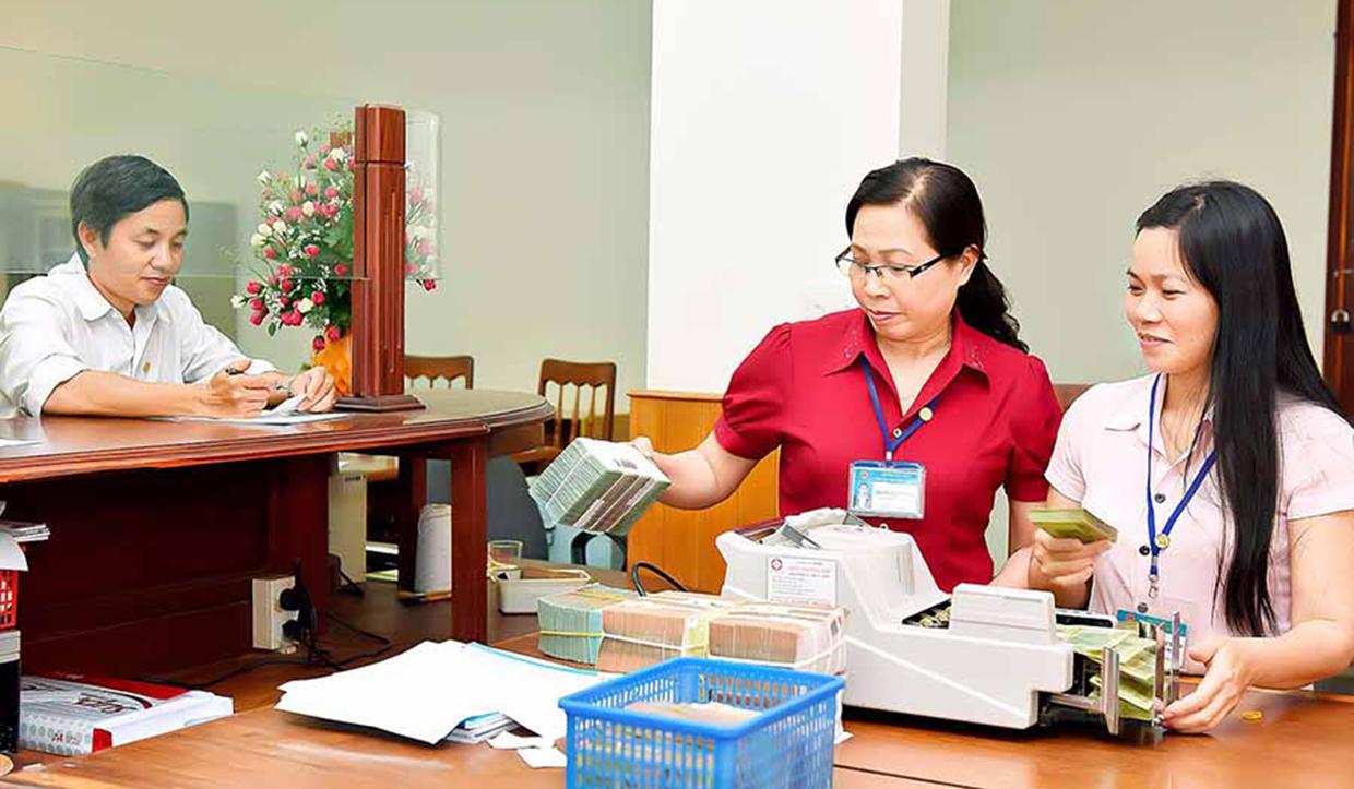 Quầy giao dịch Kho bạc Nhà nước tỉnh. Ảnh: Đức Thụy