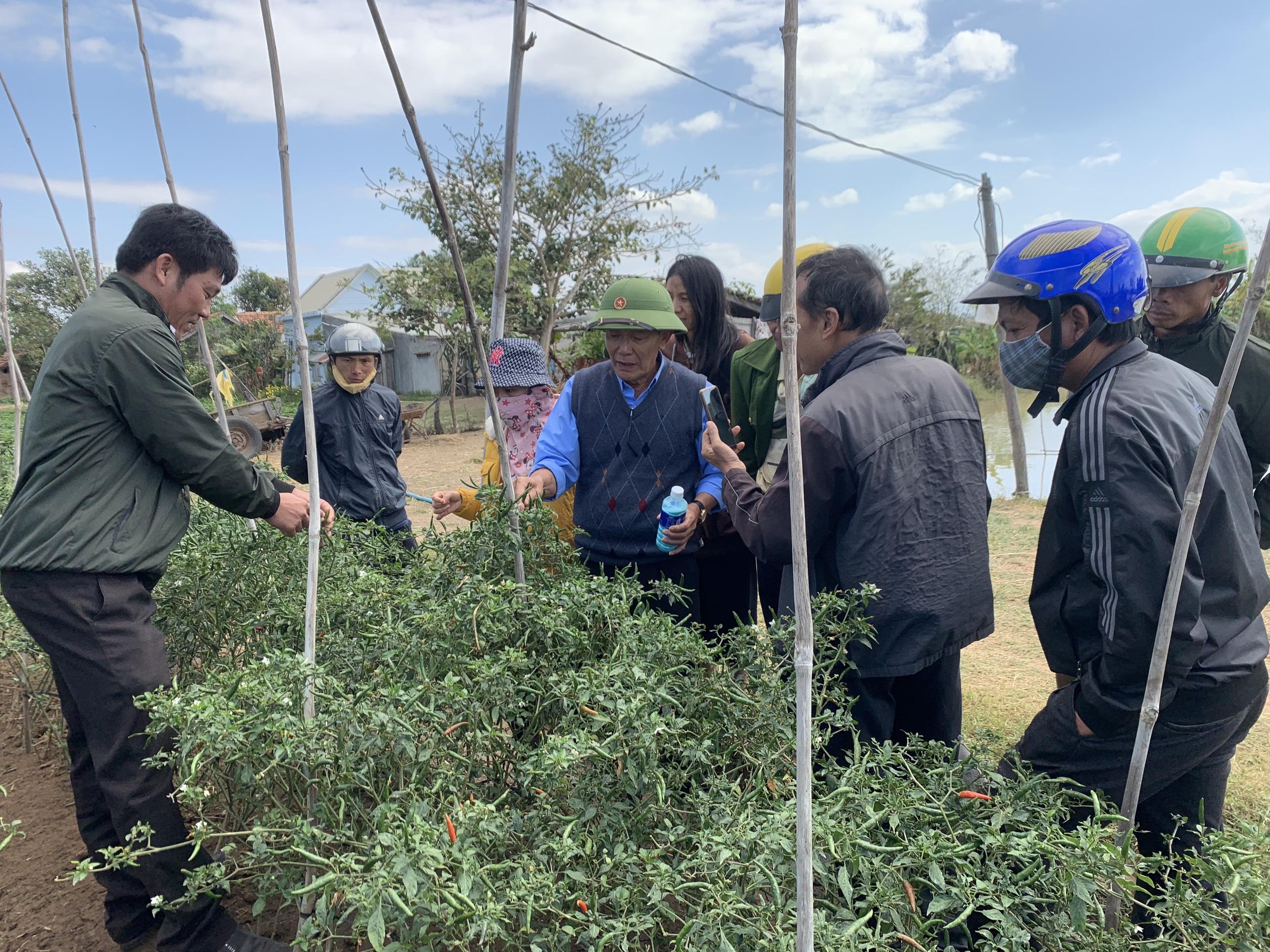 Hội Nông dân huyện Phú Thiện tổ chức tập huấn kỹ thuật chăm sóc,  phòng trừ sâu bệnh trên cây trồng bằng các loại phân bón hữu cơ, thuốc sinh học. Ảnh: Quỳnh Chi