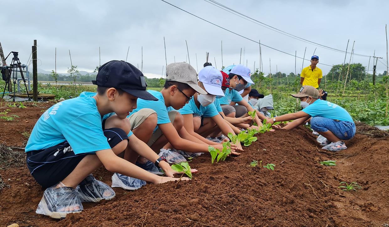 Các em thiếu nhi tham gia trải nghiệm hoạt động “Em là nông dân” do Trung tâm Hoạt động Thanh thiếu nhi tỉnh tổ chức. Ảnh: Thủy Bình