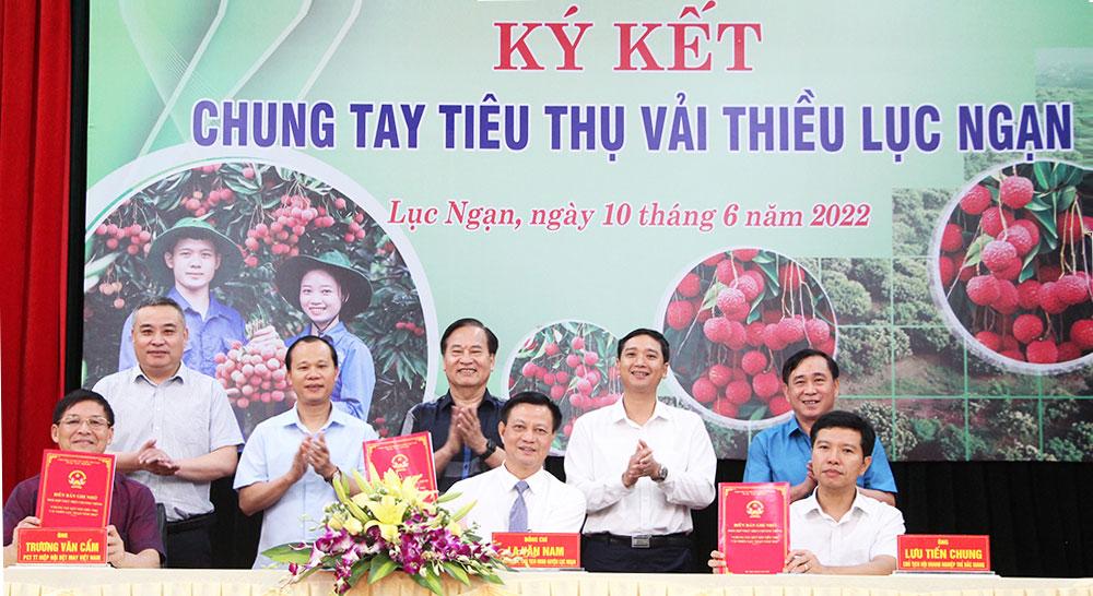 Bắc Giang, vải thiều, Lục Ngạn